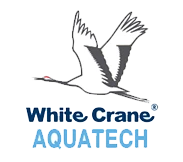 White Crane